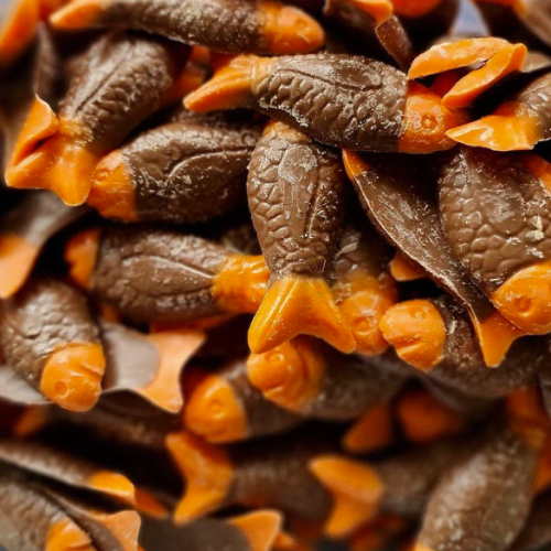 Candyman Choc Orange Fish - 100g