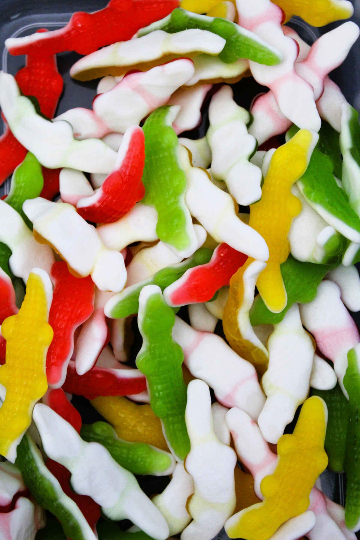 Kiwi-D Colourful Alligators - 100g
