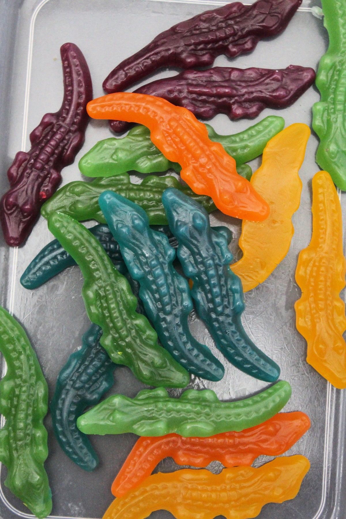 Mayceys Crocodiles - 100g
