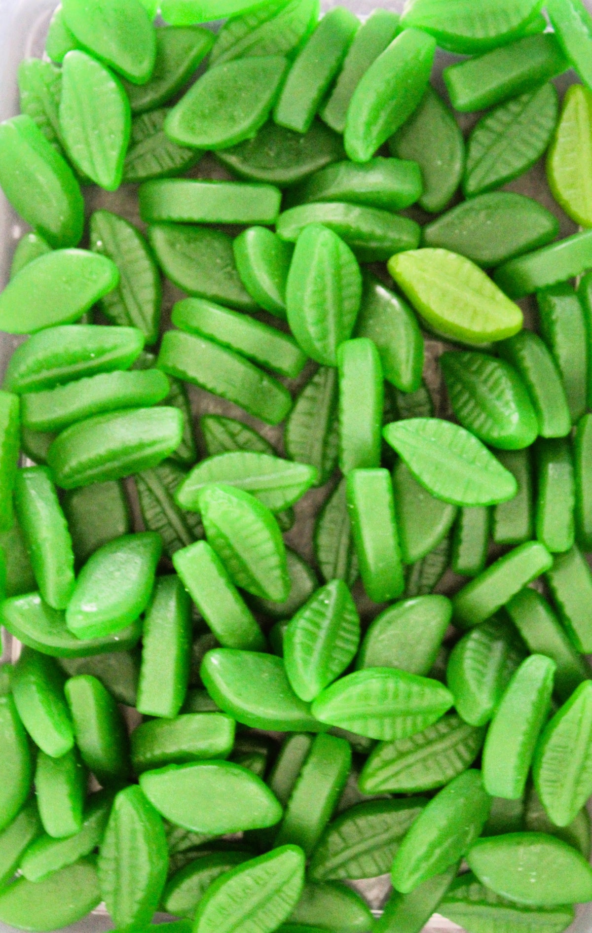 Spearmint Leaves-100g